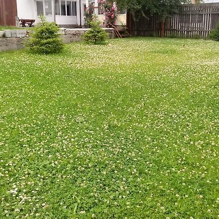 Vila Laura Busteni Ngoại thất bức ảnh